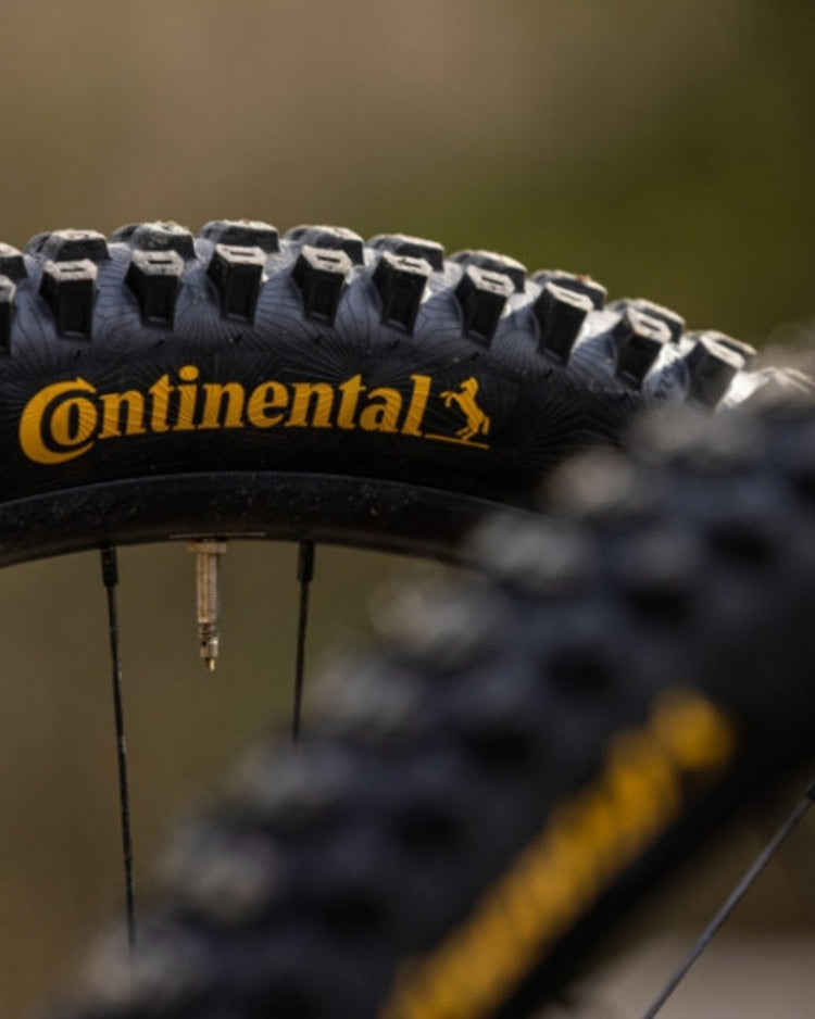 Mountain Bike Tires